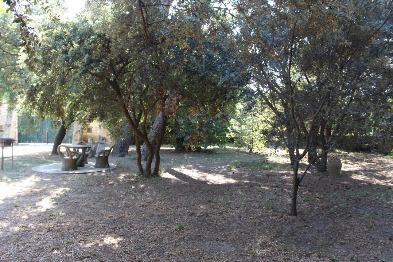 Le mas de Lucien entre Arles, Nimes, Avignon. Beaucaire  Exterior foto