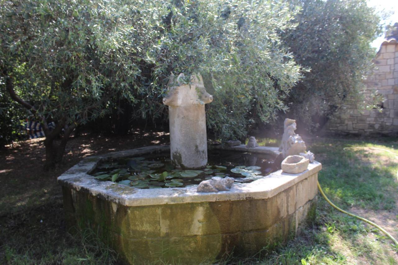 Le mas de Lucien entre Arles, Nimes, Avignon. Beaucaire  Exterior foto