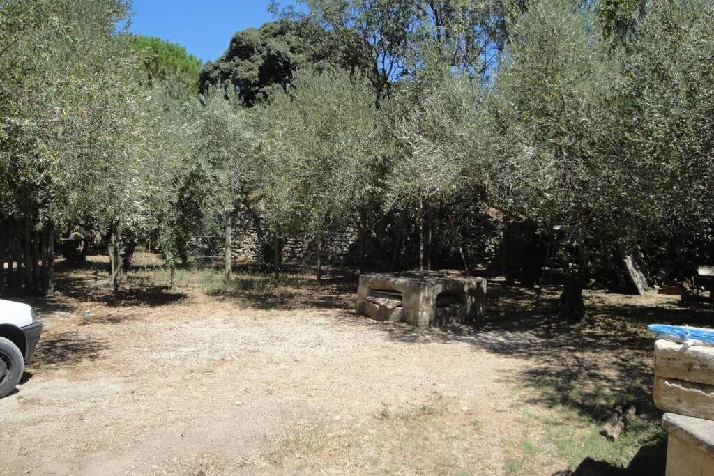 Le mas de Lucien entre Arles, Nimes, Avignon. Beaucaire  Exterior foto
